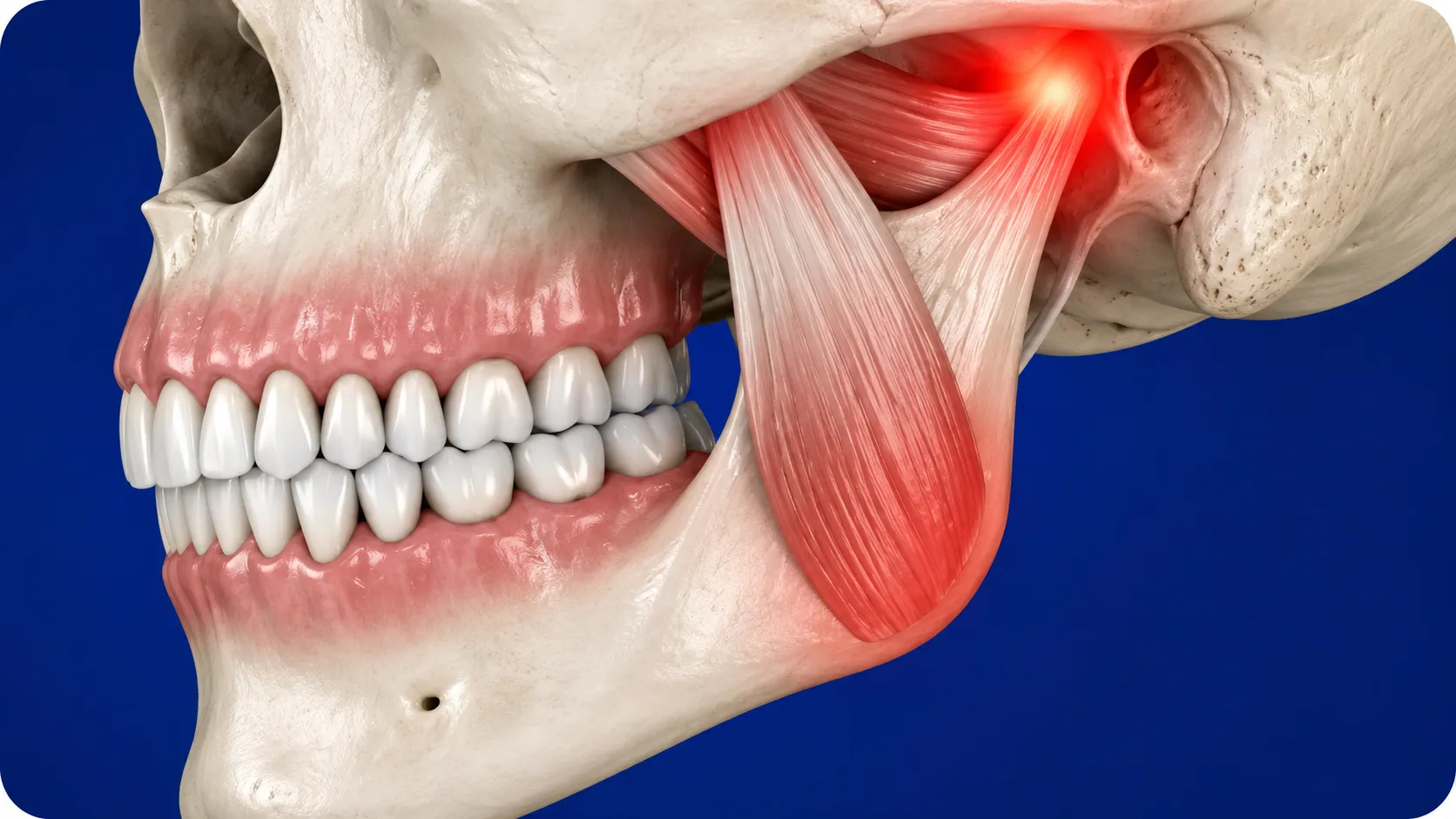 gnatologia-articolazione-temporo-mandibolare-studio-dentistico-favro-cuneo Gestiamo l'ansia da studio dentistico con protocolli dedicati e, quando indicato clinicamente, con sedazione cosciente: una tecnica sicura che permette di eseguire le cure in totale tranquillità.